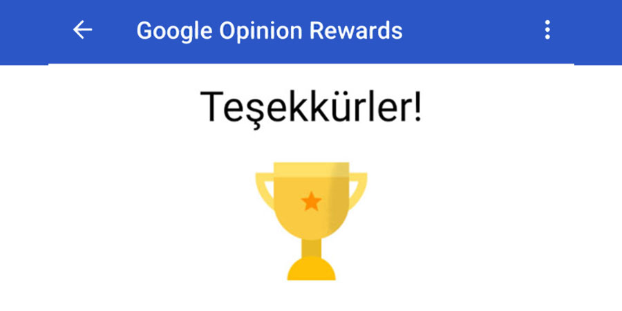 google-anket-ödülleri