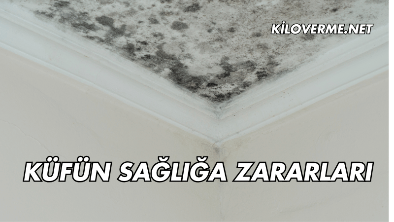 Küfün Sağlığa Zararları Nelerdir